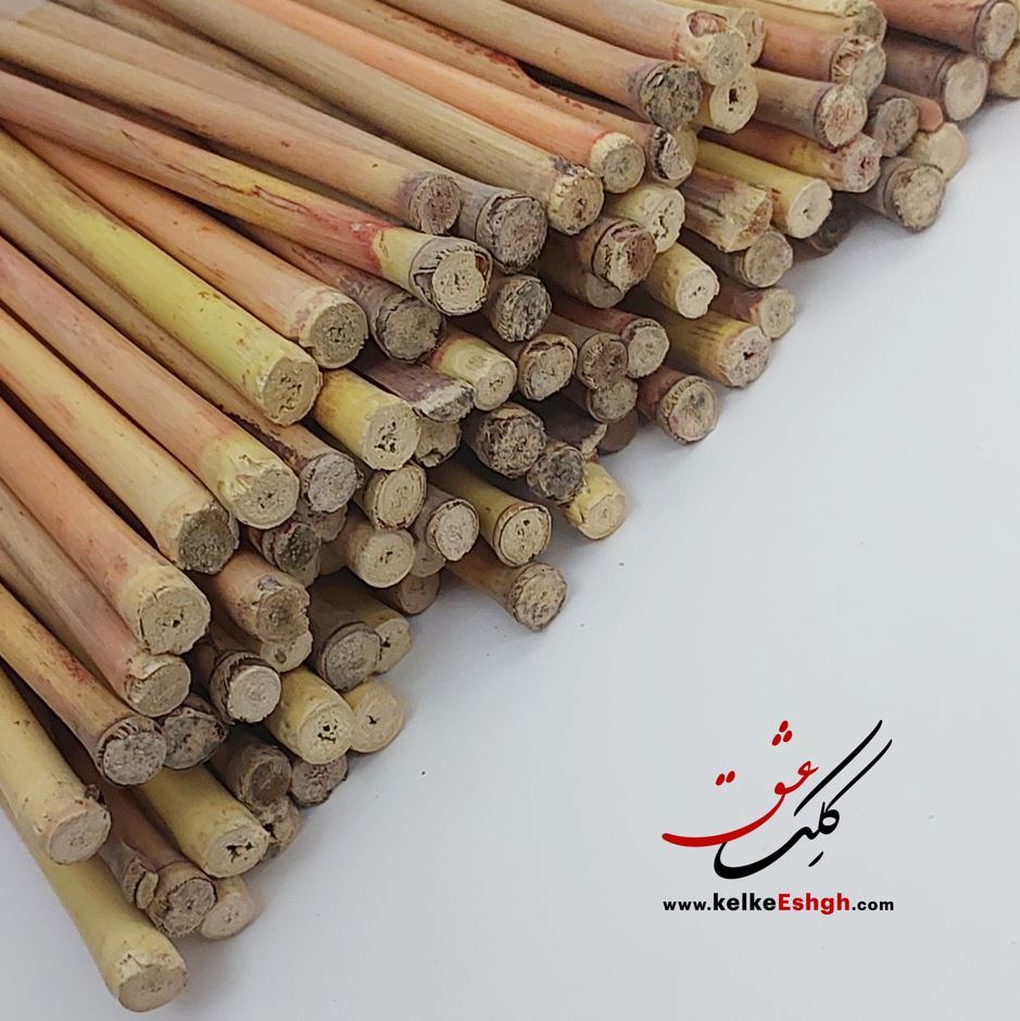 قلم نی دزفولی پرورشی