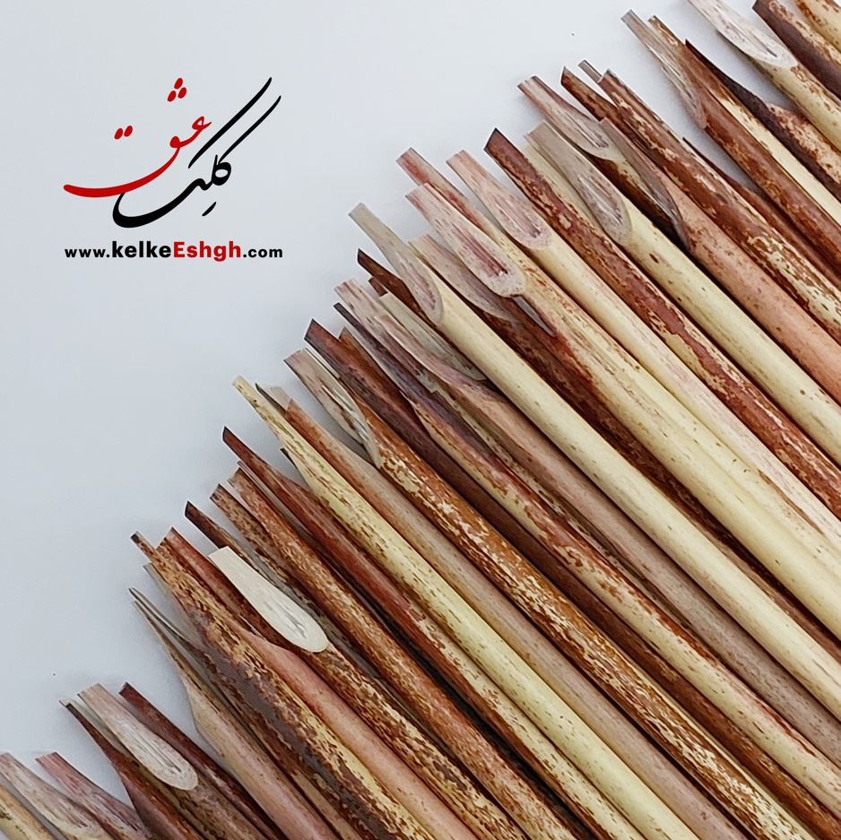 قلم نی دزفولی پرورشی گرید A (تراشیده)